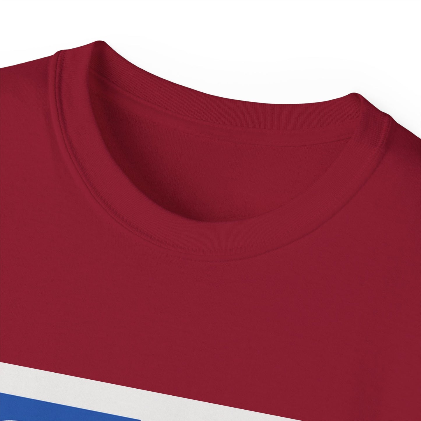 Mens Shinkansen Bullet Train Tee